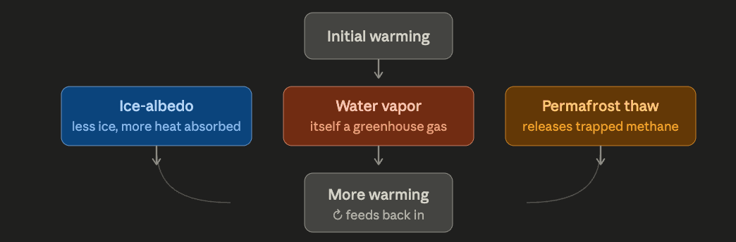 Three amplifying feedback loops that take a small warming push and turn it into a bigger one.